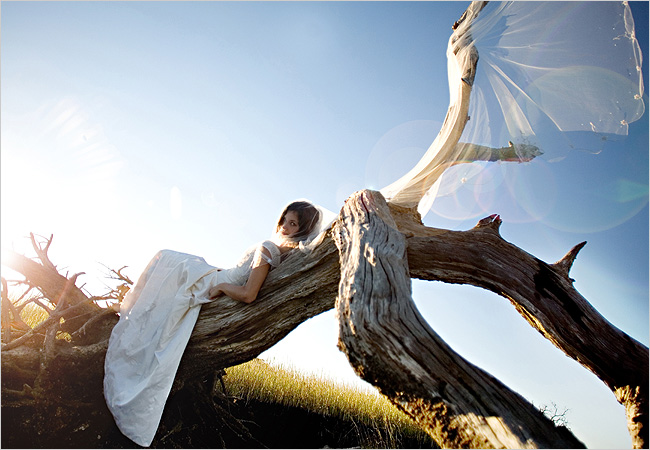 wedding dress trashing photos